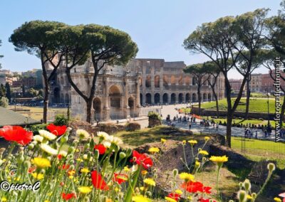 Arco di Costantino, Colosseo,fori,primavera,roma